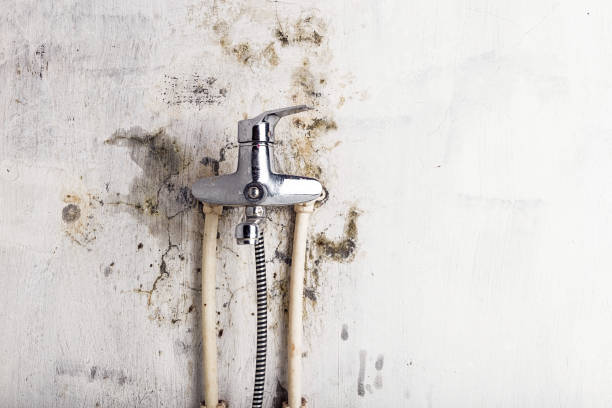 Best Water Damage Restoration  in Norris, TN