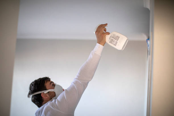 Best Local Mold Removal Service  in Norris, TN