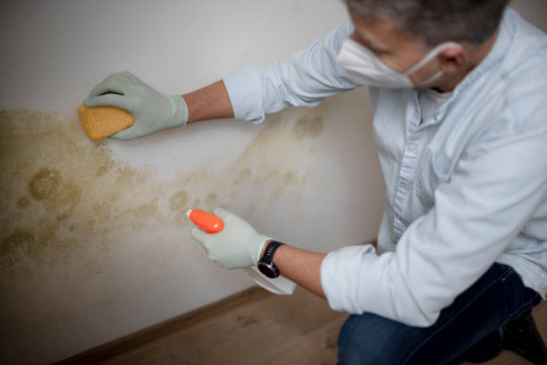Water Damage Restoration in Norris, TN