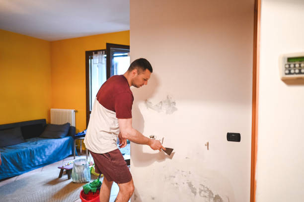 Best Same-Day Mold Removal  in Norris, TN